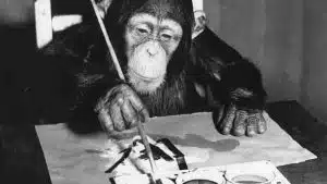 ressam şempanze