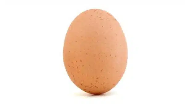 siyah lekeli yumurta